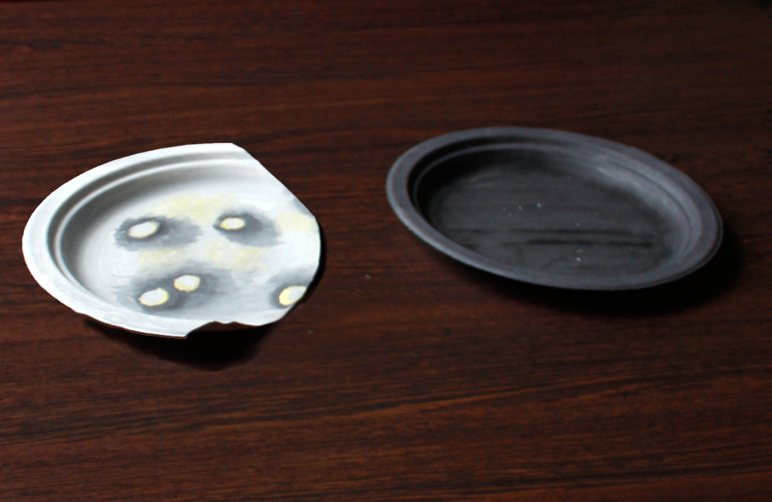 Paper Plates: Moon Phases | Activities | UNAWE